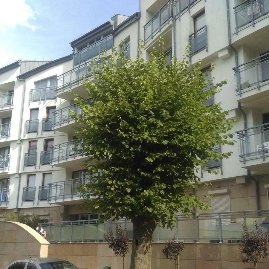 Apartament Flauta, Villa Marea Międzyzdroje Zewnętrze zdjęcie